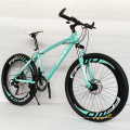 Hochwertige Mountainbikes / MTB-Bikes / ODM